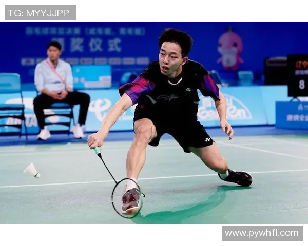 羽毛球耐力排行榜揭晓深圳羽毛球队荣获第八名佳绩