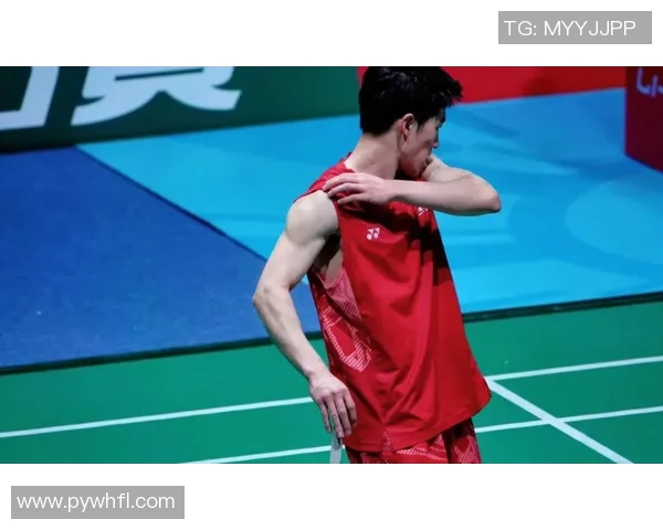 杭州羽毛球队转型之路探秘:从传统强队到现代化竞技新星